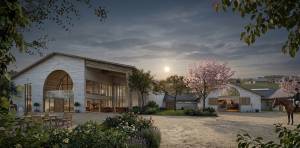 Anne-Rose BOUYER - KAURI ARCHITECTURE